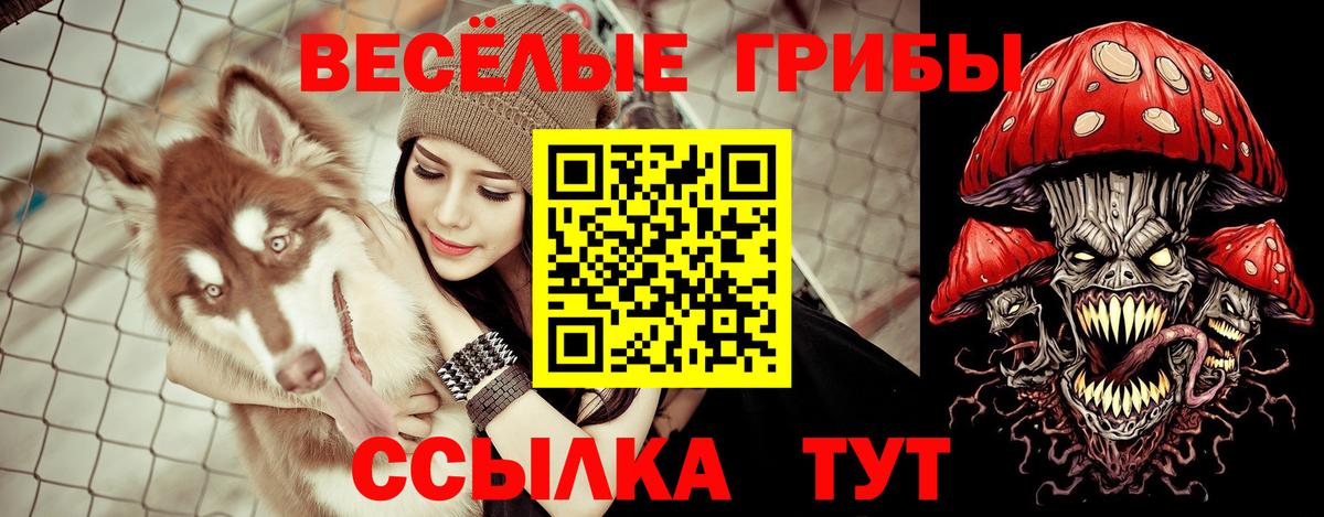Галлюциногенные грибы ЛСД Волгоград