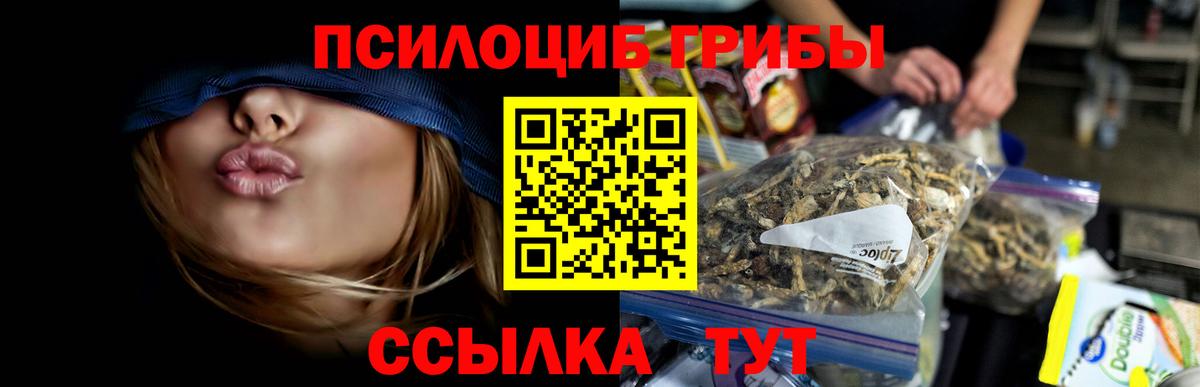 Галлюциногенные грибы MAGIC MUSHROOMS  Вход с VPN  Волгоград 